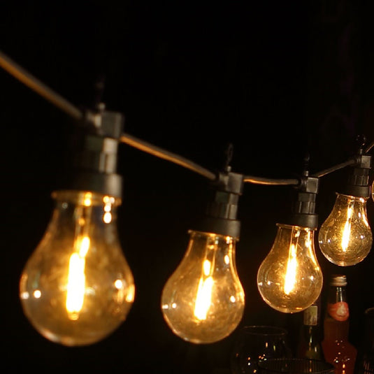 10 Battery Operated Edison Festoon Lights