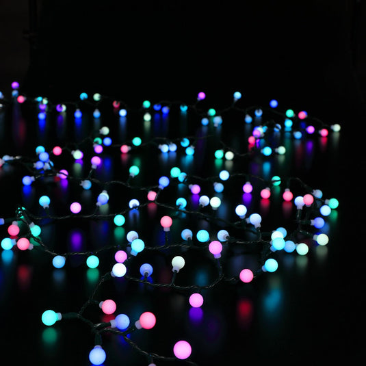 300 Colour Changeable Remote Controlled Berry Lights