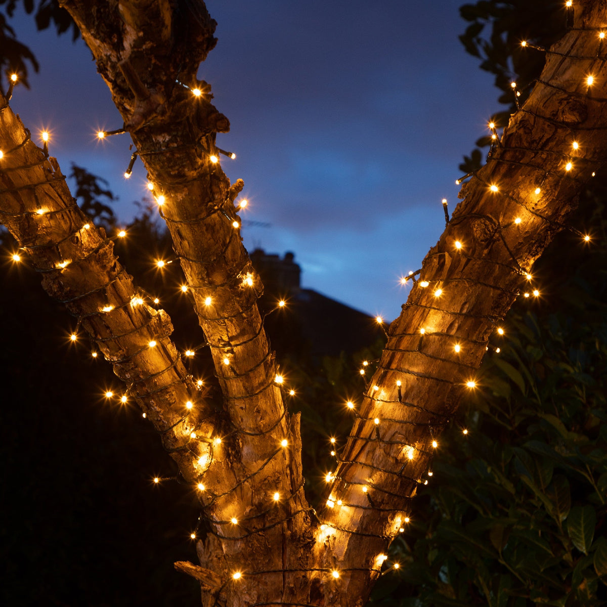 50 Fit & Forget Warm White Multifunction String Lights