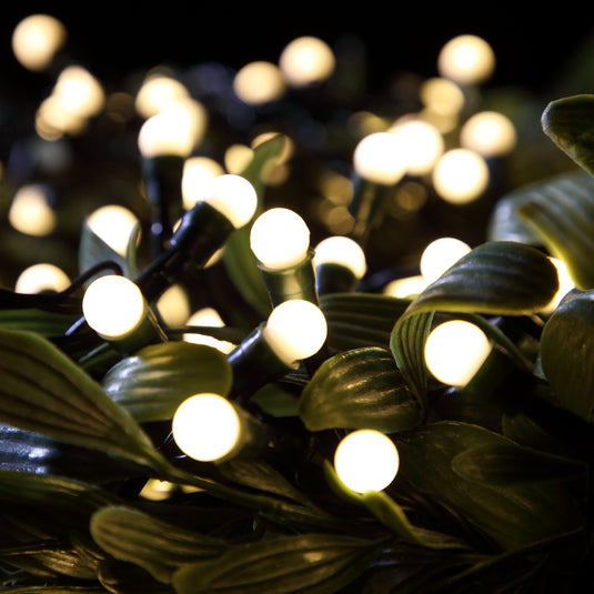 200 Fit & Forget Warm White Multifunction Berry Lights