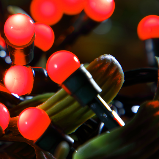 100 Fit & Forget Red Multifunction Berry Lights