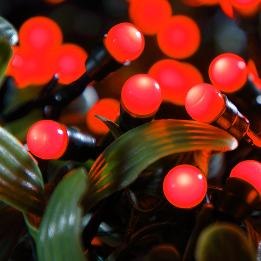 100 Fit & Forget Red Multifunction Berry Lights