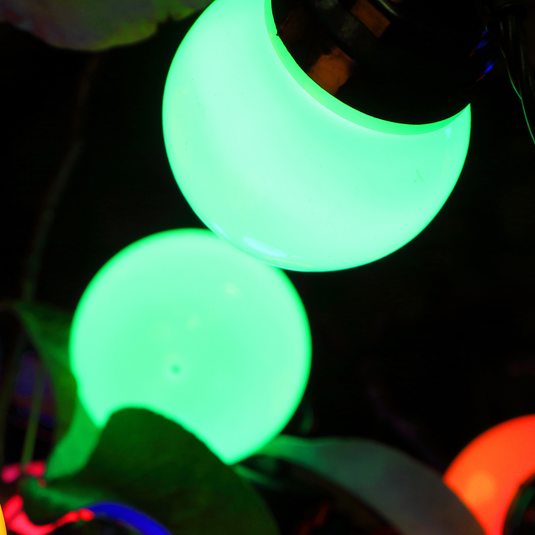 20 Multicolour Traditional Festoon Lights with Black Cable