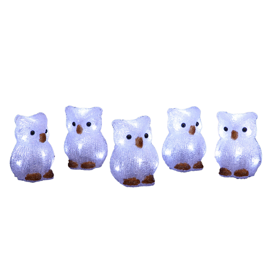 Set of 5 Acrylic Owls