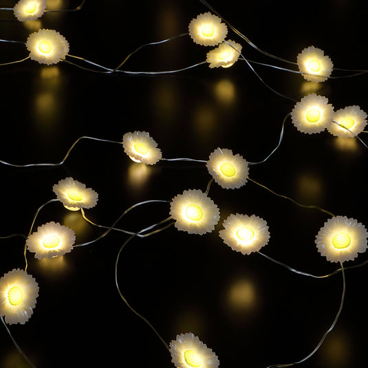 Daisy Solar Fine Wire Lights