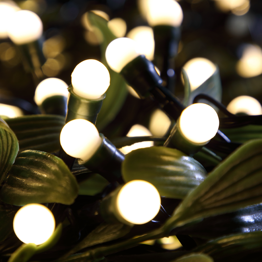 100 Fit & Forget Warm White Multifunction Berry Lights