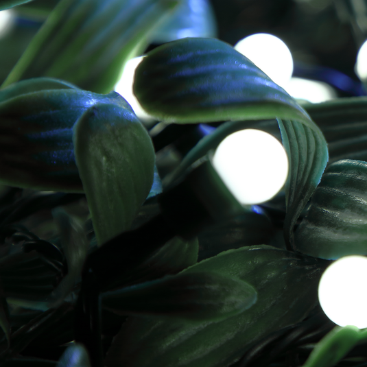 100 Fit & Forget White Multifunction Berry Lights