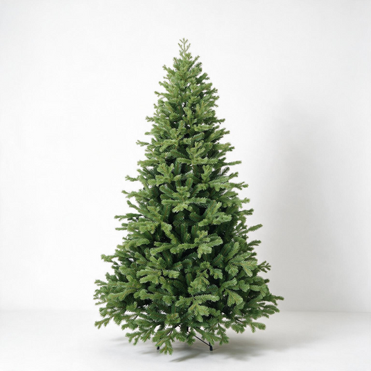 Lakeland Fir
