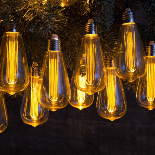 The Bulb 30 Vintage Valve Style Led Bulb String Lights