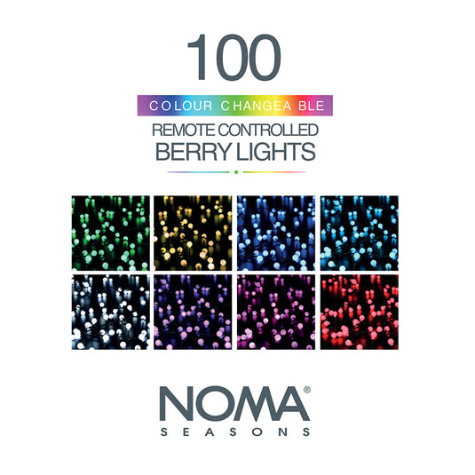 100 Colour Changeable Remote Controlled Berry Lights