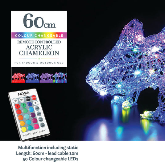 60 cm Long Colour Changeable Wire Frame Chameleon