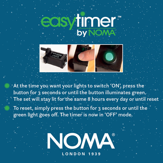 10 Colour Changing Large Flower Fibre Optic String Light