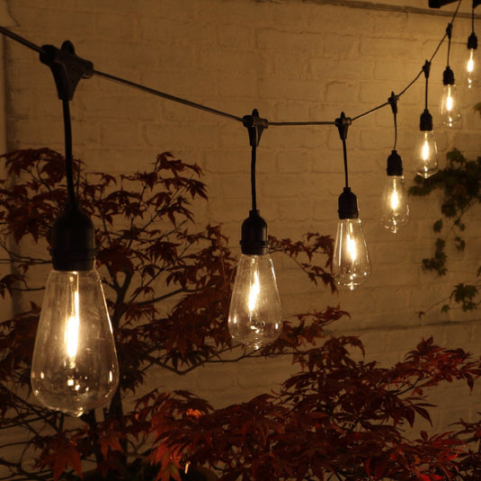 20 Connectable LED Large Edison Festoon with Drop