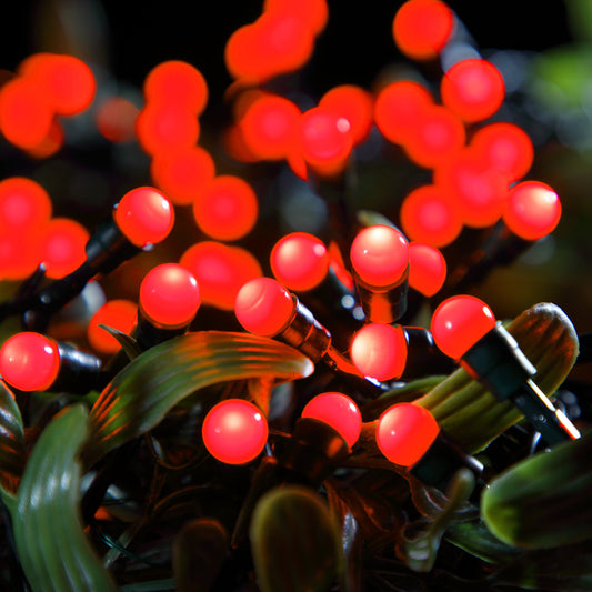 100 Fit & Forget B/O Red Multifunction Berry Lights