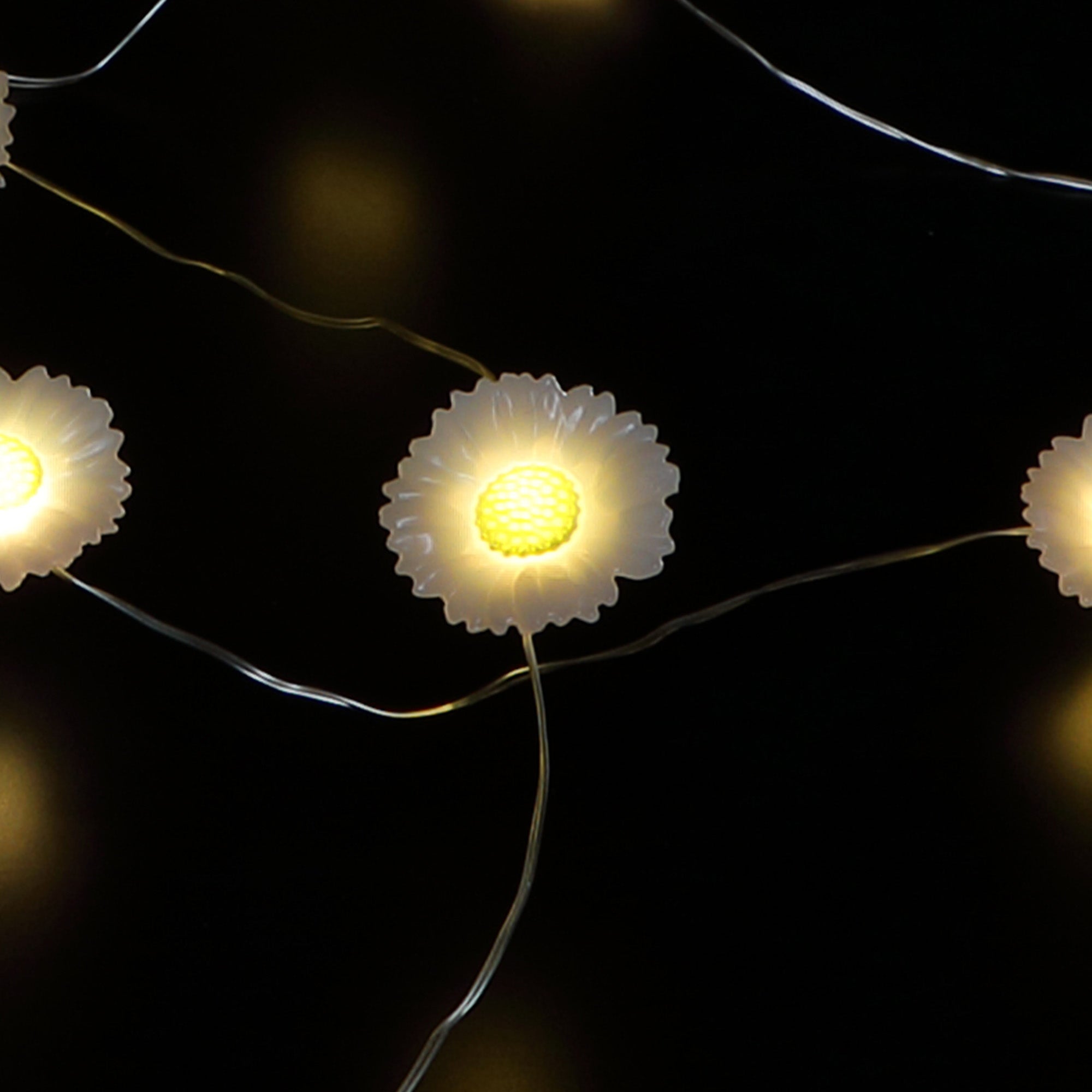 【超希少】Daisy Lights 版画 Greenwood1976 90/36 Daisy Solar Fine Wire Lights