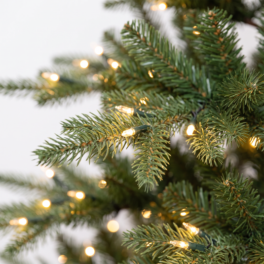 7' Nordman Fir Pre Lit 420 Warm White