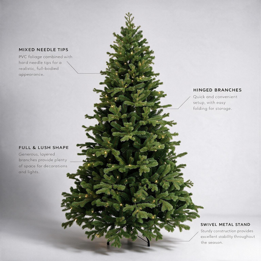 Lakeland Fir