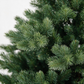 Highgrove Spruce